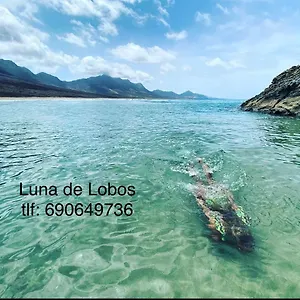 Apartamento Luna De Lobos, Corralejo